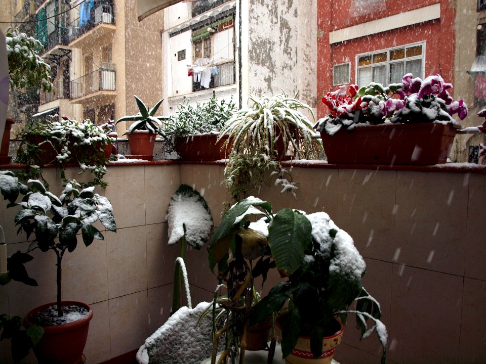 2010 BARCELONA POBLE SEC NIEVE 02