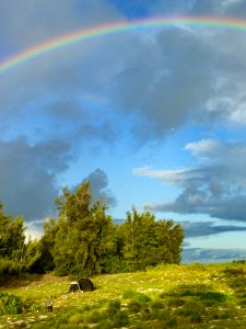 A rainbow hangs over the Midway aviary on the morning of the 2014 Laysan duck translocation to Kure Atoll photo