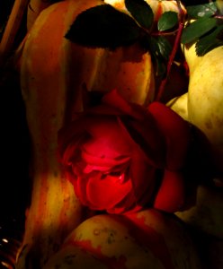 Strange Still-Life