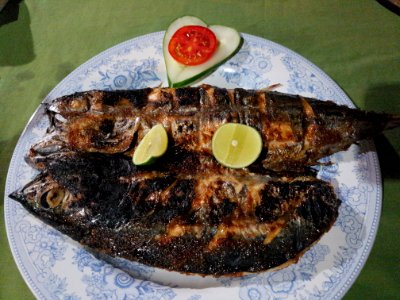 Thunfisch