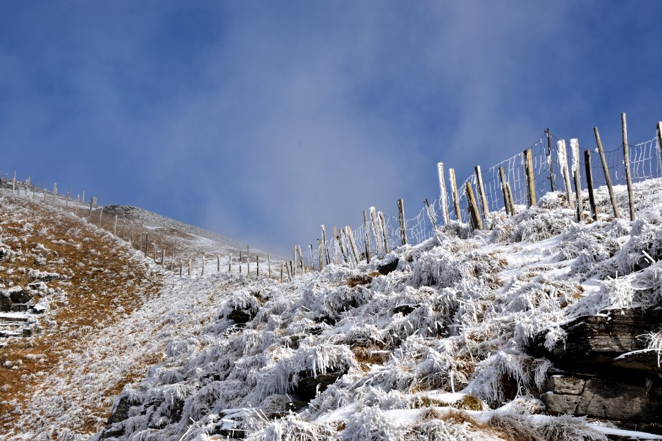 Frost border