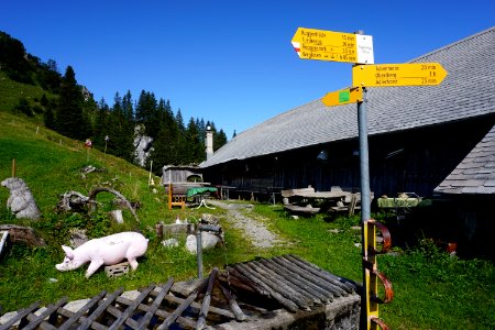 Alpwirtschaft Roggenegg (Kanton Schwyz) photo