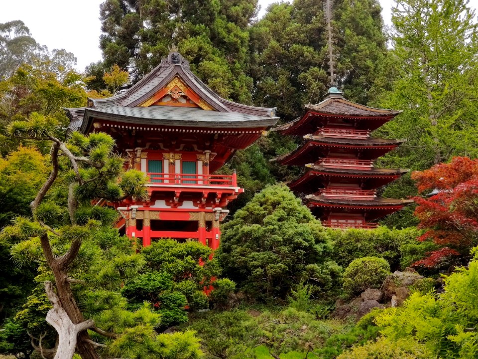 Japanese Tea Garden SF