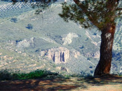 Granada. Llano de la Perdiz II