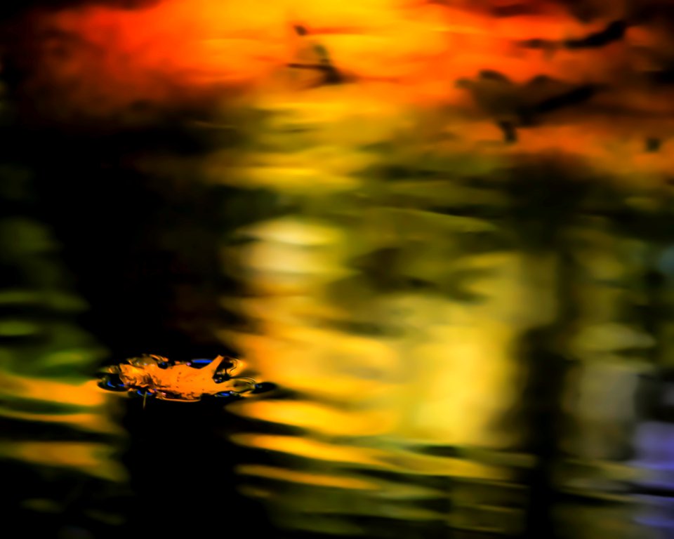 Autumn Dream