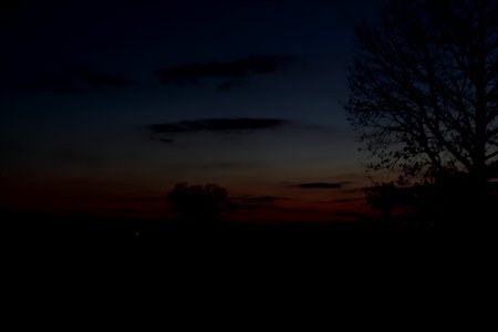 Dark red night