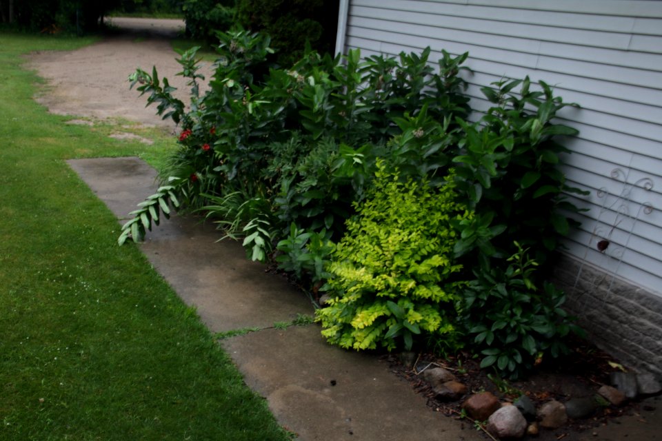 my driveway path