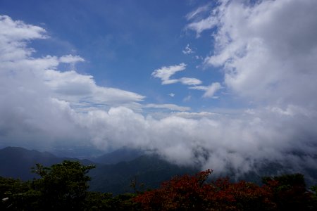 Sky view