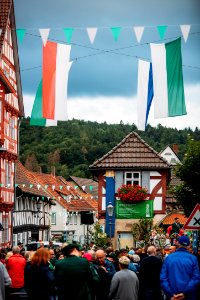 2019-07-13 451. Wanfrieder Vogelschießen IMG_1835 edit Christoph Braun