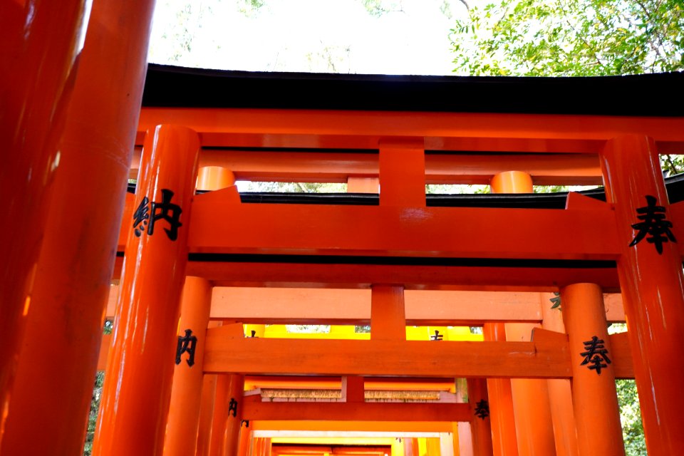 Senbon Torii photo