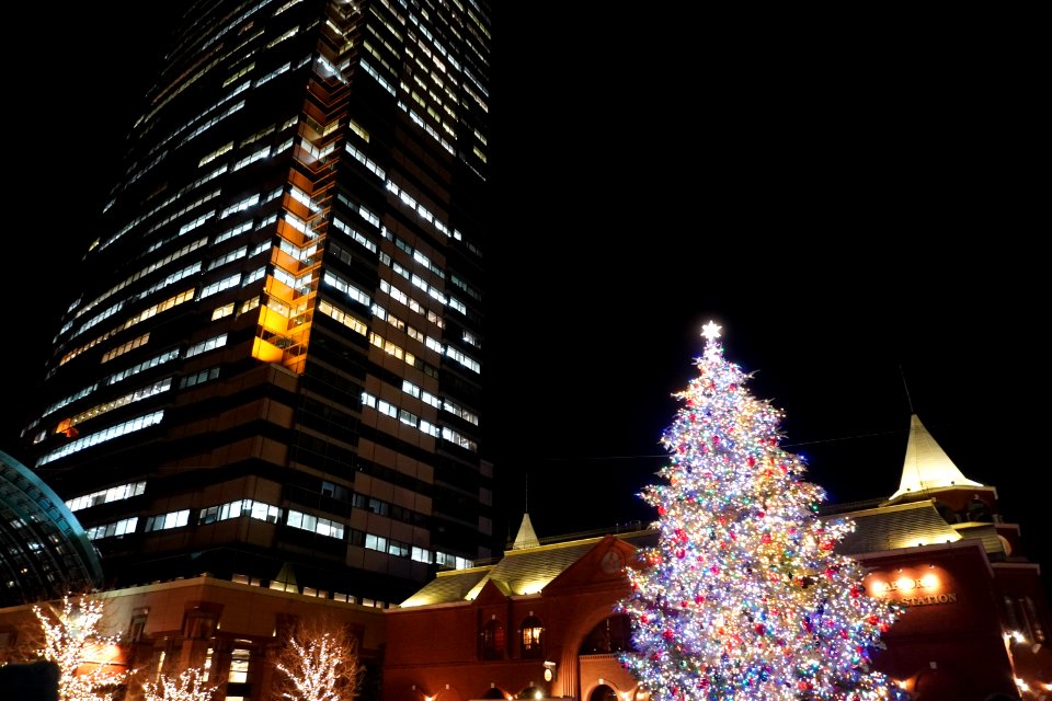 Christmas tree at Yebisu garden place