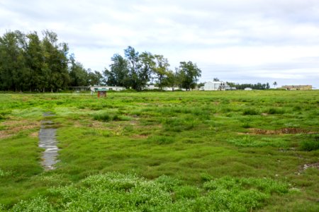 Looking east from the back of the NAF Hangar