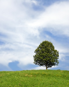 Landscape summer sky