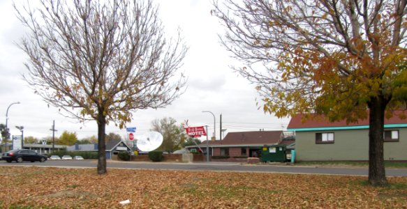 Big Bunny Motel (formerly Bugs Bunny Motel)