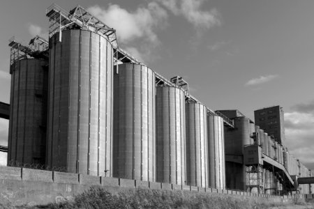 SGS UK Grain Terminal, Grays, Essex