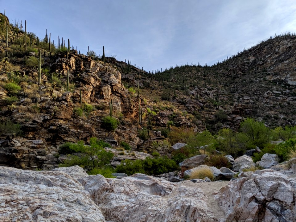 Tanque Verde Falls Area
