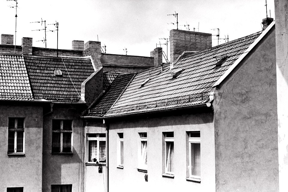 hinterhof schivelbeiner1