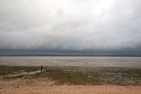 Shellness, Kent