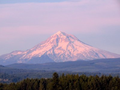 Mt. Hood