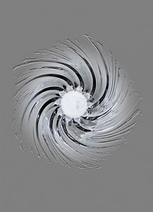 Glass art shell structure