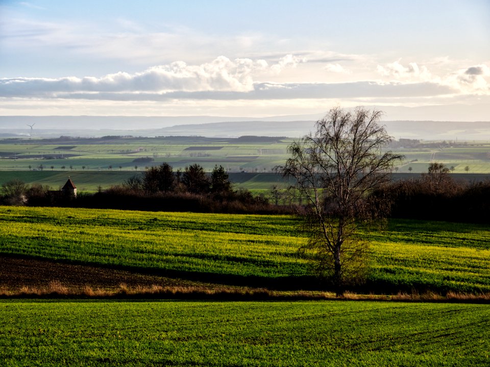 Ampleben - Surroundings #2