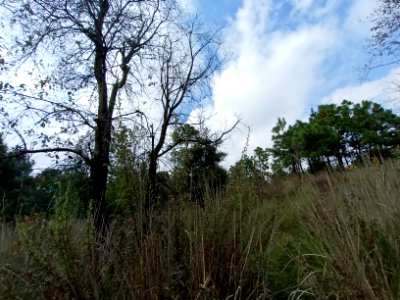 SEIARN_SEIF_HUITZILAC_IMG_20201027_134900