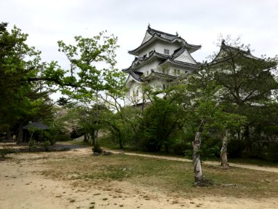 Castle in Iga