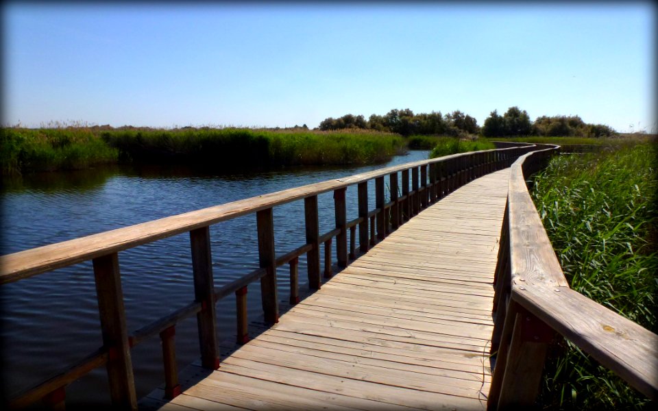 TABLAS DE DAIMIEL, (CIUDAD REAL). SPAIN.