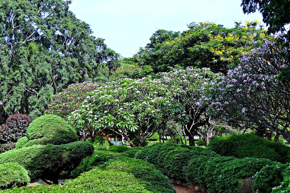 Park Garden Botanical Garden Greenery Lal Bagh
