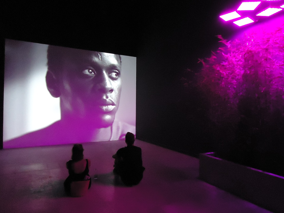 Art venice biennale