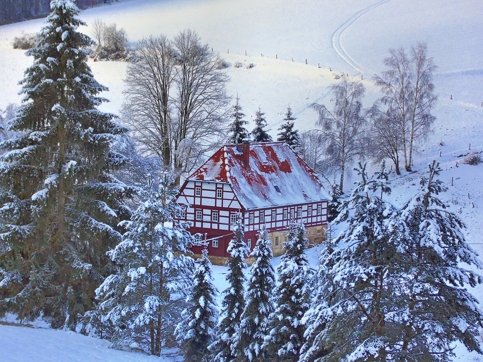 Snow nature saxon switzerland