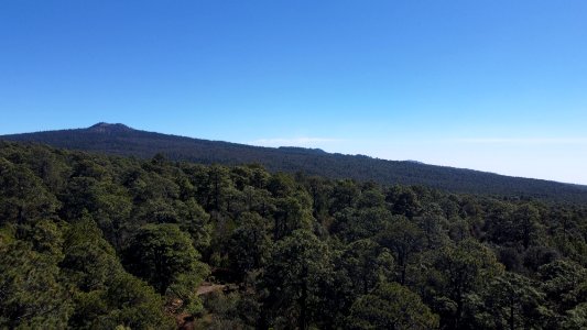 SEIARN_SEIF_HUITZILAC_COAJOMULCO_0962