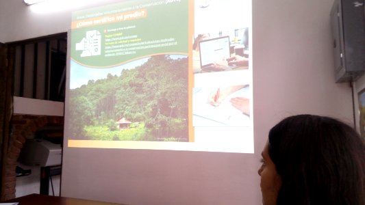 SEIARN_DIRECCIÓN DE SISTEMAS DE INFORMACIÓN AMBIENTAL_FERNANO VALDEZ_CALDERÓN_IMG_20190626_103947
