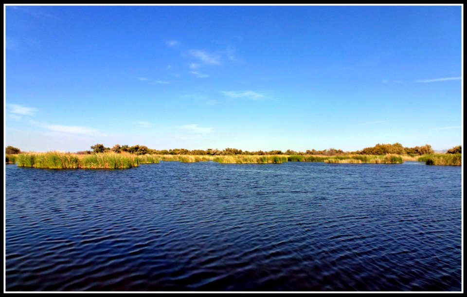 TABLAS DE DAIMIEL, (CIUDAD REAL). SPAIN.