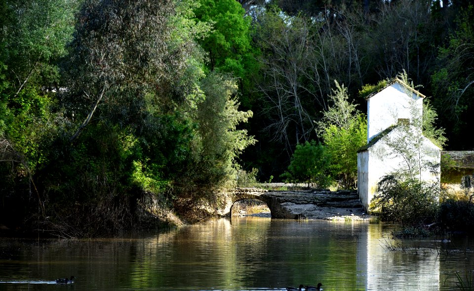 Río Guadaíra. Alcalá de Guadaíra (Sevilla).