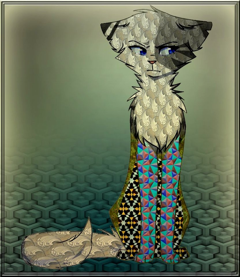The suspicious cat