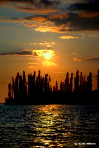 Mesmerising instant by iezalel williams IMG_3430-009