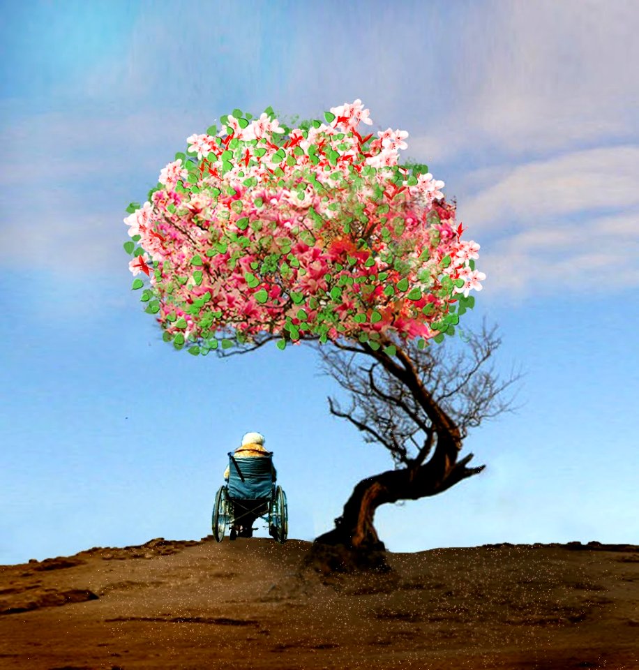 Flowers of Solitude