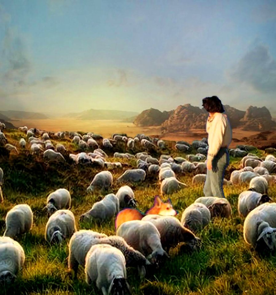 Shepherdess photo