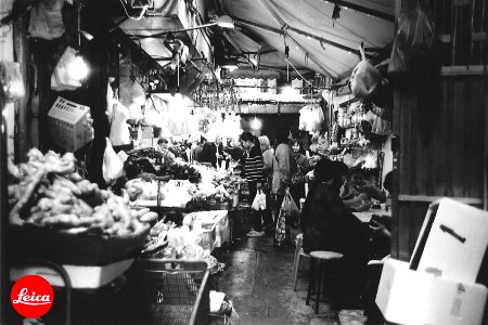 Leica M7 35mm 6