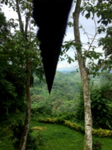 Zipline into the jungle