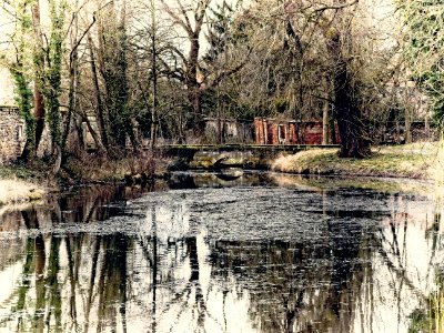 Pond - HSS
