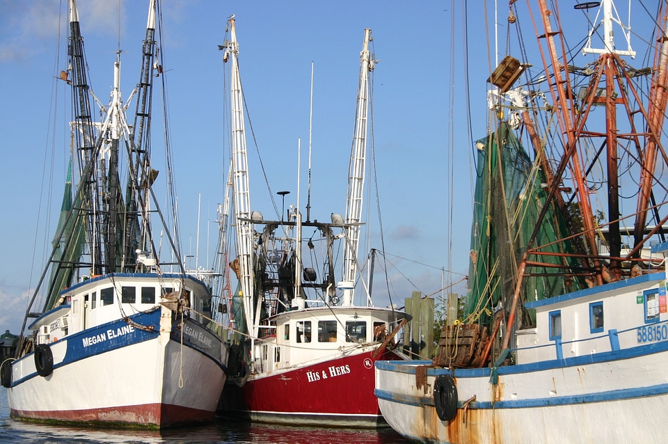Shrimping fishing dock