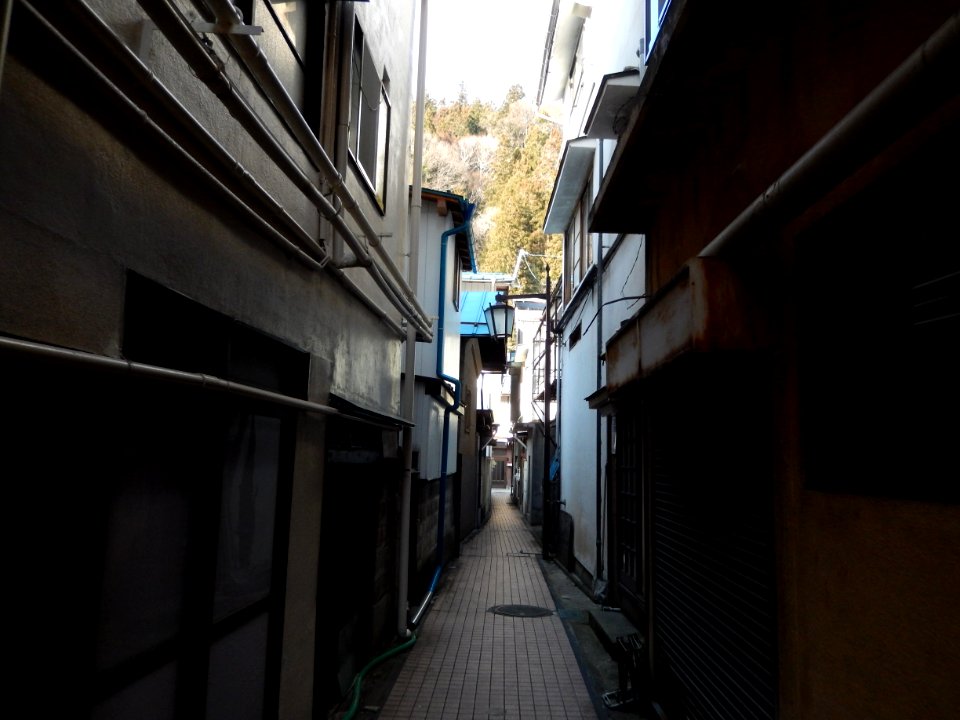 Yudanaka shibu onsen area