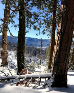 Vista into the Valley at Yosemite