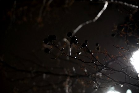 A rainy night