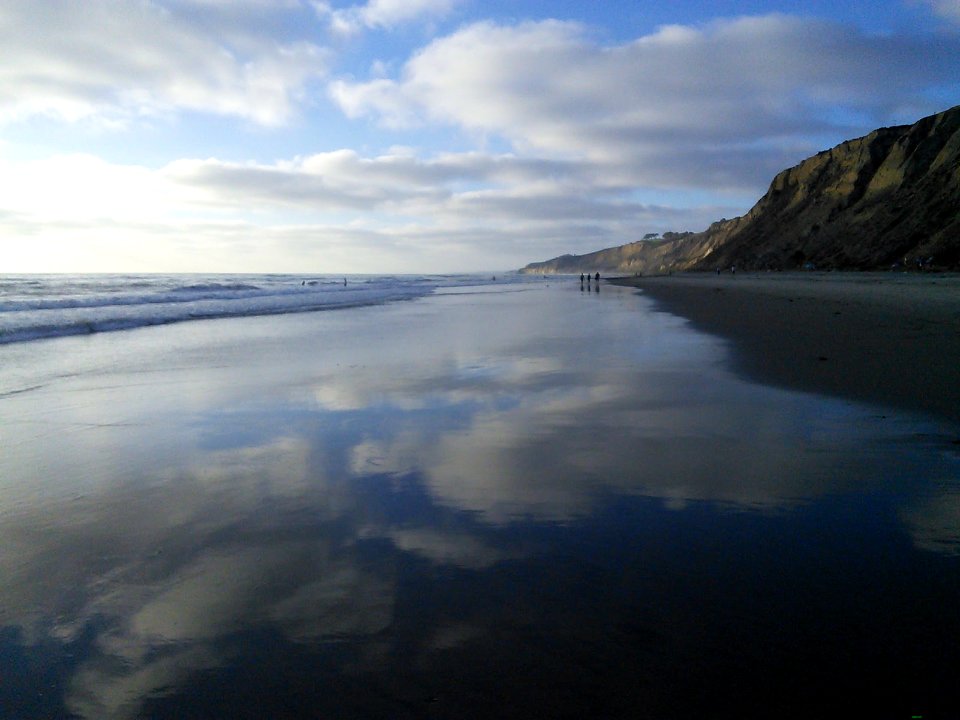 Black's Beach