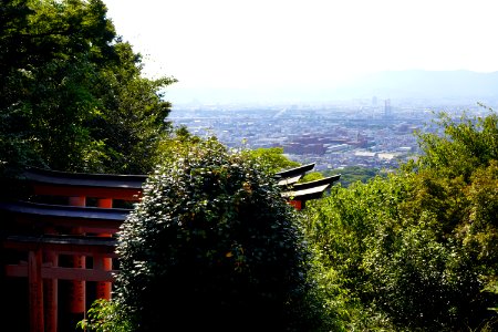 Sight from Fushimi Inari shrine