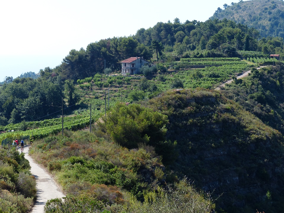 Ligurian mountain trail alta via dei monti welcomed avml