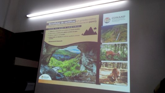SEIARN_DIRECCIÓN DE SISTEMAS DE INFORMACIÓN AMBIENTAL_FERNANO VALDEZ_CALDERÓN_IMG_20190626_103648